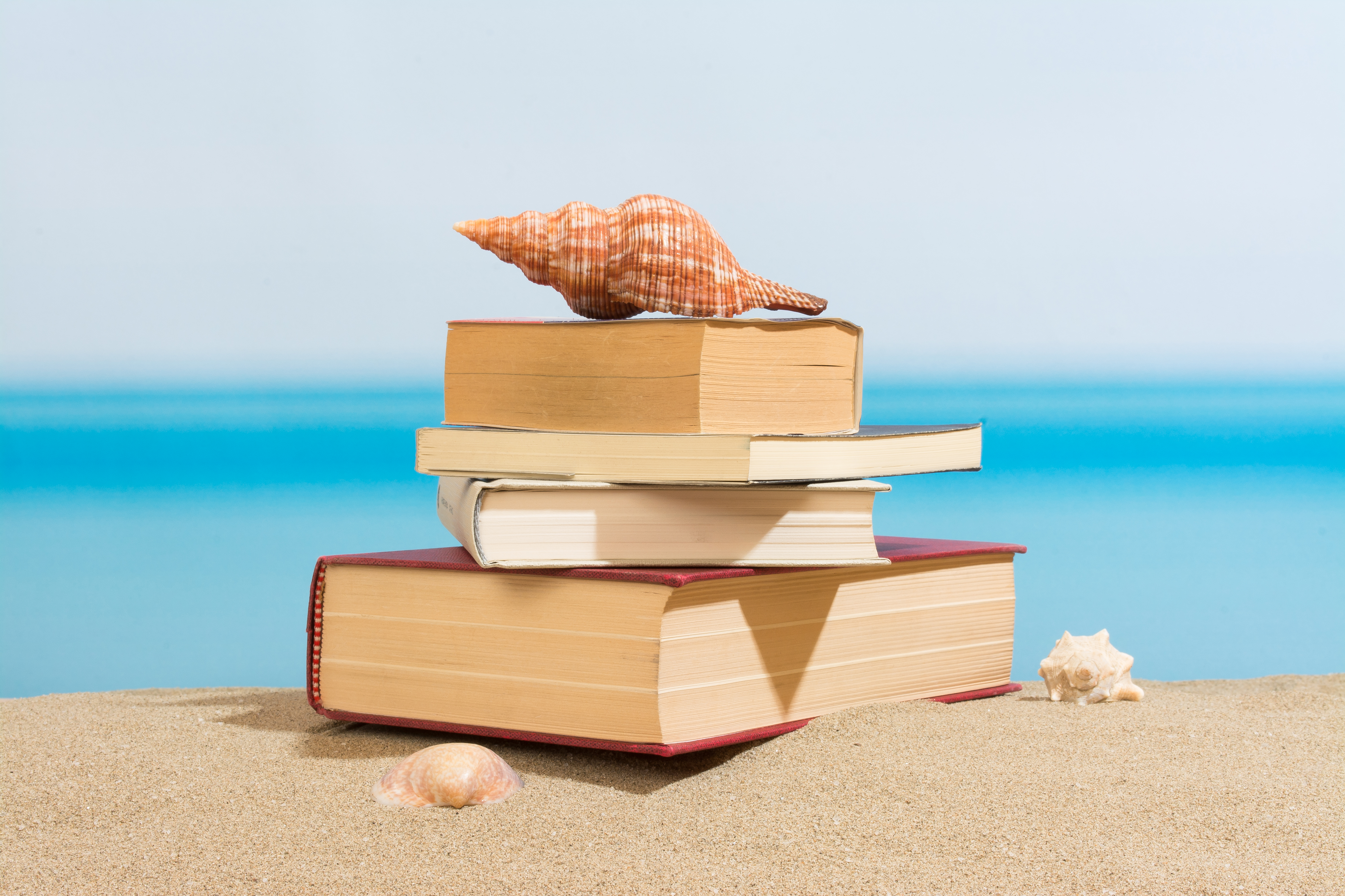 WILEF Global Chair Betiayn Tursi’s Summer Reading Recommendations
